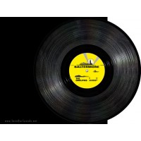 The Groupies - Are Insane (Baltermore) 12" vinyl