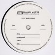 V/A - Global Surveyor: Phase 4 (Dominance Electricity) 4x12" test pressing