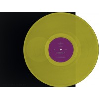 Lloyd Stellar - Destroy Him (Wave Function Records) 12''