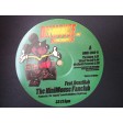 The NiniMouse Fanclub - The Storm (Androids Music / Defmouse) 12''
