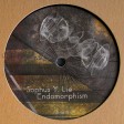 Sophus Y. Lie - Endomorphism (Yuyay Records) 12'' vinyl