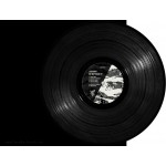Larionov, The Exaltics - No Way Back (Tiger Weeds) 12''