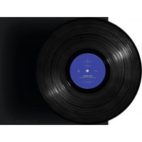 Acidulant - Systematically Connected (Wave Function Records) 12"