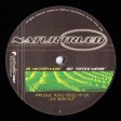 Analogue Audio Association - Naturtrueb (Placid Records) 12''