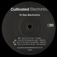 Various - Ten Year Electronics (Cultivated Electronics) 12''